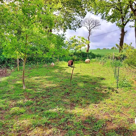 Charmante Ecurie Renovee Avec Jardin, Salle Commune, Espaces De Jeux Enfants Et Decouvertes Botaniques - Fr-1-600-221 بيت للعطل Montenay