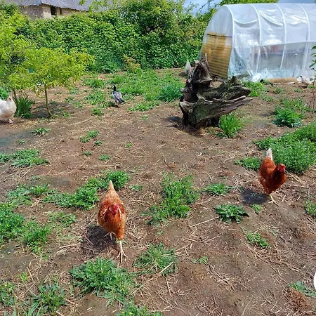 Charmante Ecurie Renovee Avec Jardin, Salle Commune, Espaces De Jeux Enfants Et Decouvertes Botaniques - Fr-1-600-221 بيت للعطل